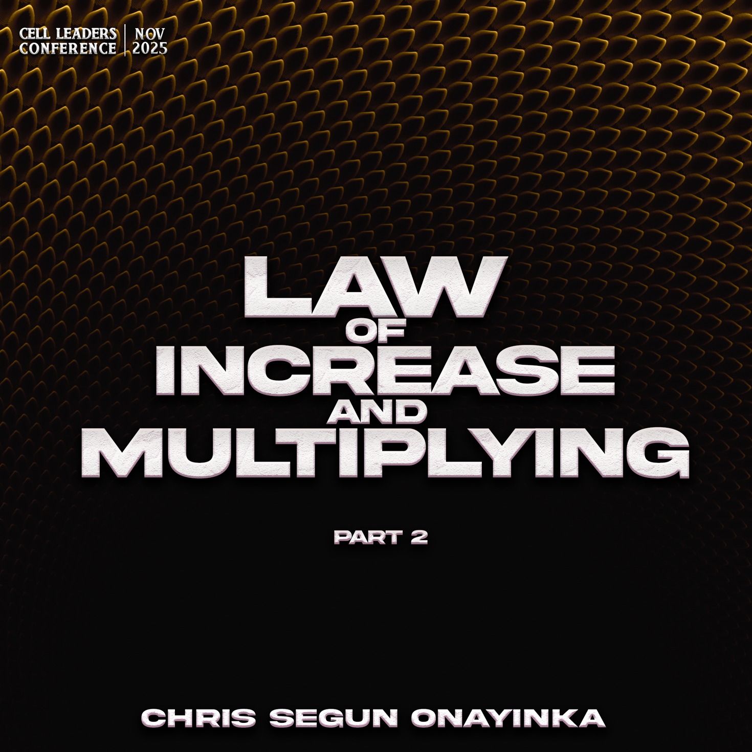 Cell Leaders Conference November 2025- Law of increase and multiplying Part 2